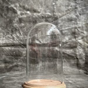 CELIA – Campana in vetro con base in legno naturale